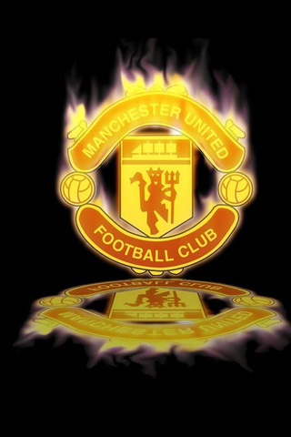 己在德甲的 己在德甲的